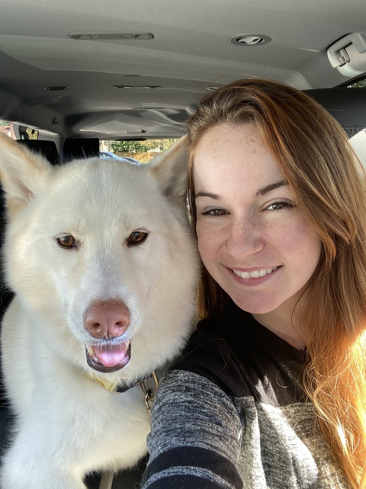 PROVIDENCE VET Updated September 2024 24 Photos & 14 Reviews 1035