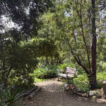 Arlington Garden in Pasadena - Botanical Gardens Near Me - Pasadena, California Arlington Garden in Pasadena - Botanical Gardens Near Me - Pasadena, California
