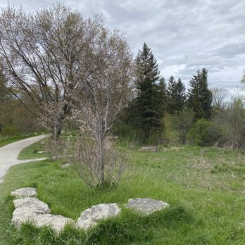 Nokiidaa Tail - Green Lane - Hiking Near Me - Newmarket, Ontario Nokiidaa Tail - Green Lane - Hiking Near Me - Newmarket, Ontario