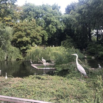 ZOO BERLIN - Zoos Near Me - Berlin, BE