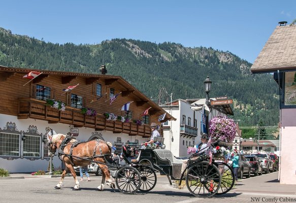 NW Comfy Cabins Vacation Rentals by null