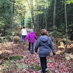 Vassalboro Town Forest Trail