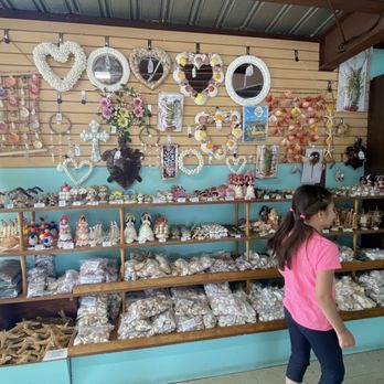 The Shell Shop - Arts & Crafts Near Me - Morro Bay, California