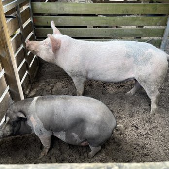 Happi Farm - Community Service/Non-Profit Near Me - Davie, Florida Happi Farm - Community Service/Non-Profit Near Me - Davie, Florida