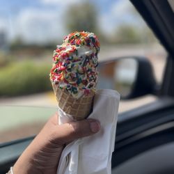 Twistee Treat - Riverview
