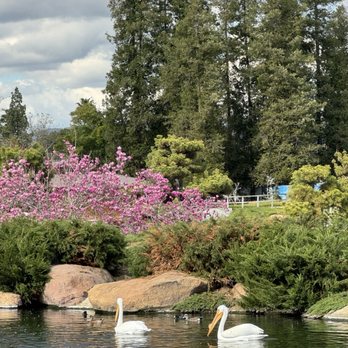 The Japanese Garden - Botanical Gardens Near Me - Van Nuys, California