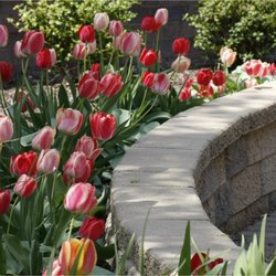 Eastside Landscaping