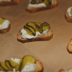 White Pepper - Sarah Jay Photography