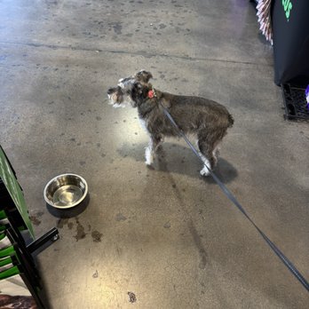 Pet Supplies Plus Phoenix - Moon Valley - Draco 3 - Pet Stores Near Me - Phoenix, Arizona Pet Supplies Plus Phoenix - Moon Valley - Draco 3 - Pet Stores Near Me - Phoenix, Arizona