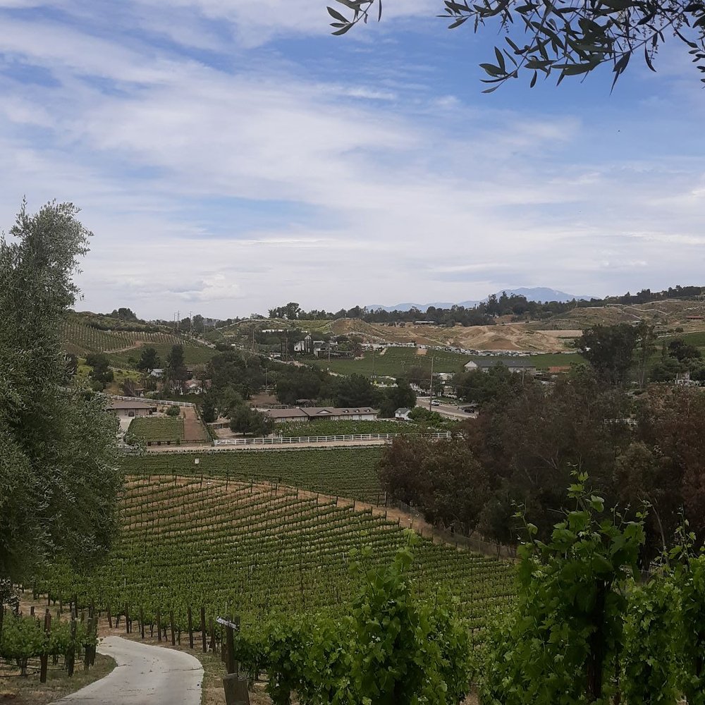 Oak Mountain Winery - Wineries Near Me - Temecula, California Oak Mountain Winery - Wineries Near Me - Temecula, California
