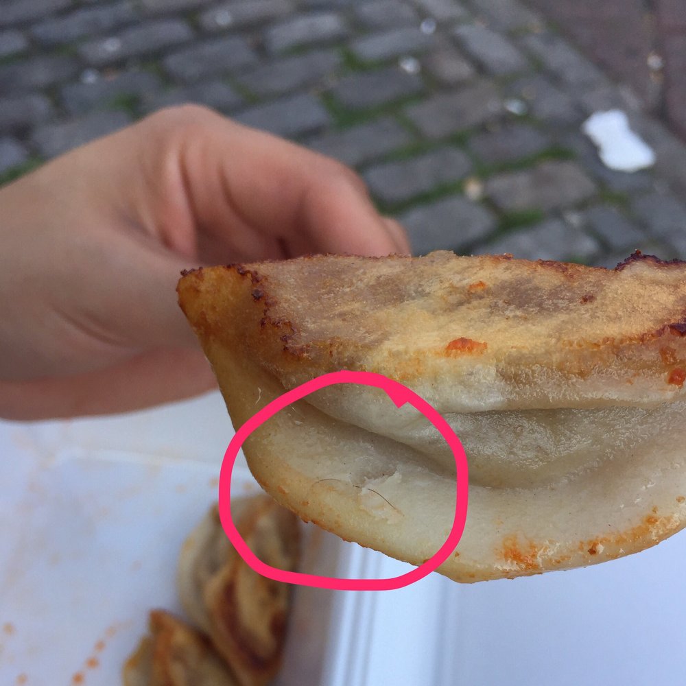 Fried Dumpling - Hair. - Chinese Near Me - New York, New York Fried Dumpling - Hair. - Chinese Near Me - New York, New York