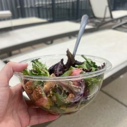 Terrace Salad Terrace Salad