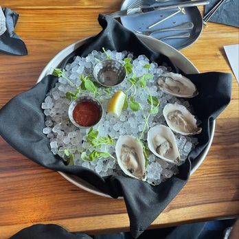 Table Salt - Bar Harbor Blonde Oysters with a cucumber vignette which - Seafood Near Me - Bar Harbor, Maine