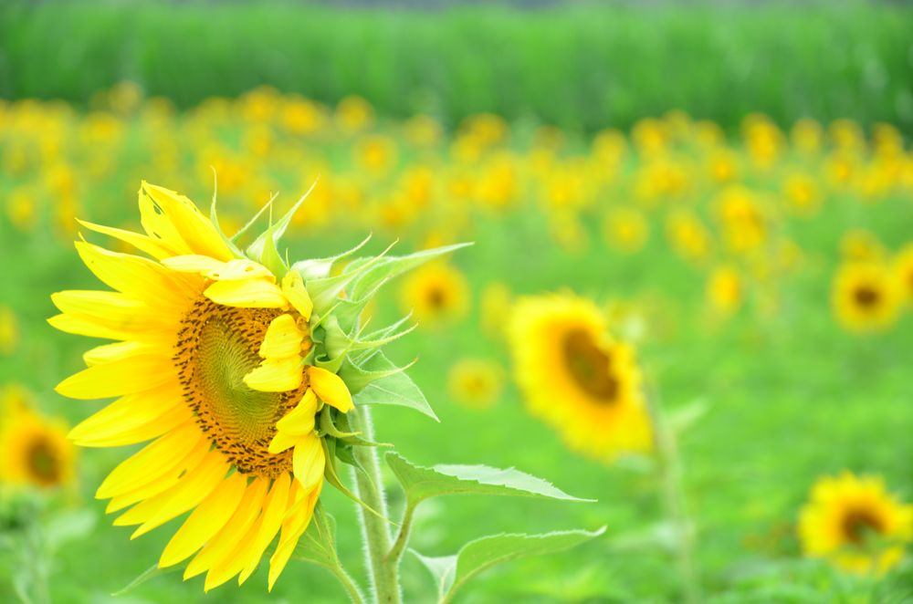 PLEASE WASH ME Updated June 2024 13 Photos & 13 Reviews 1 Yeingst