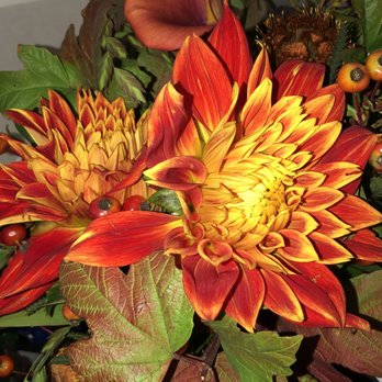 Lee's Discount Florist - A bouquet I purchased this past fall. Absolutely beautiful. - Florists Near Me - Oakland, California Lee's Discount Florist - A bouquet I purchased this past fall. Absolutely beautiful. - Florists Near Me - Oakland, California