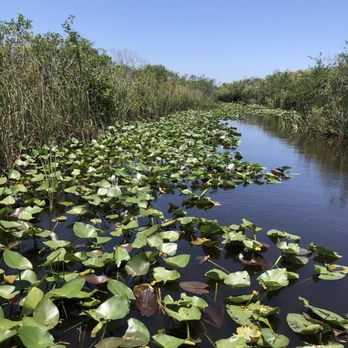 gator park - Boat Tours Near Me - Miami, Florida gator park - Boat Tours Near Me - Miami, Florida