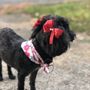 Photo of Patty's Fur Topia - Atlanta Pet Care Center