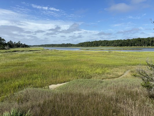 Skidaway Island State Park by null