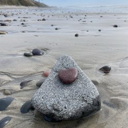 Yoga Wild - Feeling love and peace at Yoga Wild Oceanside.