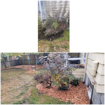 BJ's Hauling and Lawn Service - Yard clean up and bark - Junk Removal & Hauling Near Me BJ's Hauling and Lawn Service - Yard clean up and bark - Junk Removal & Hauling Near Me
