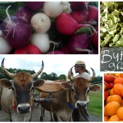 Simple Gifts Farm