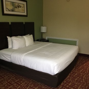 Quality Inn & Suites - Clean room - Hotels Near Me - Lexington, North Carolina