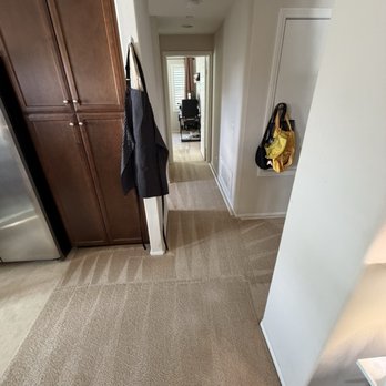 Maxclean Carpet & Tile Care - Carpet Cleaning Near Me