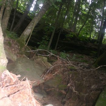 Camp McDowell - Hiking trail - Community Service/Non-Profit Near Me - Nauvoo, Alabama
