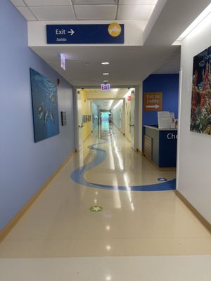 Ann & Robert H. Lurie Children's Hospital of Chicago by null