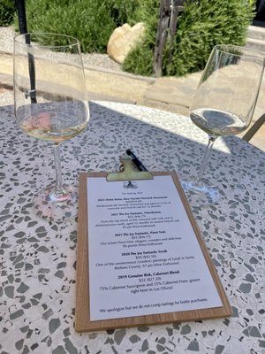 Holus Bolus & The Joy Fantastic by null