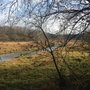 Photo of Mossy Cree Wildlife Viewing Area