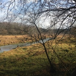 Mossy Cree Wildlife Viewing Area - View from the lower blind