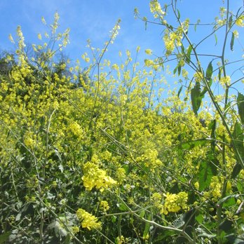 Fryman Canyon Park - Hiking Near Me - Studio City, California Fryman Canyon Park - Hiking Near Me - Studio City, California