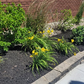 Longardner Landscaping - Landscaping Near Me