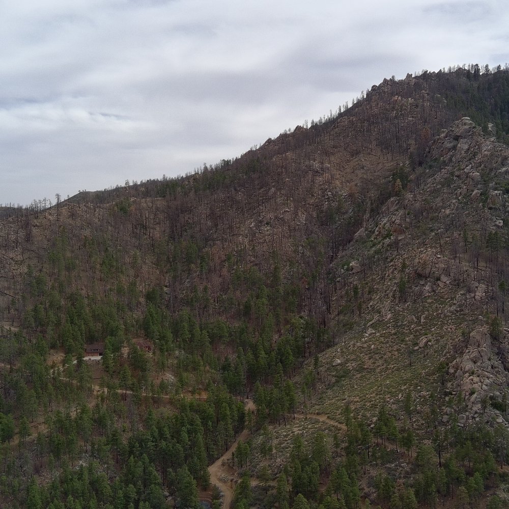 Hualapai Mountain Resort - Trees all around. - Resorts Near Me - Kingman, Arizona