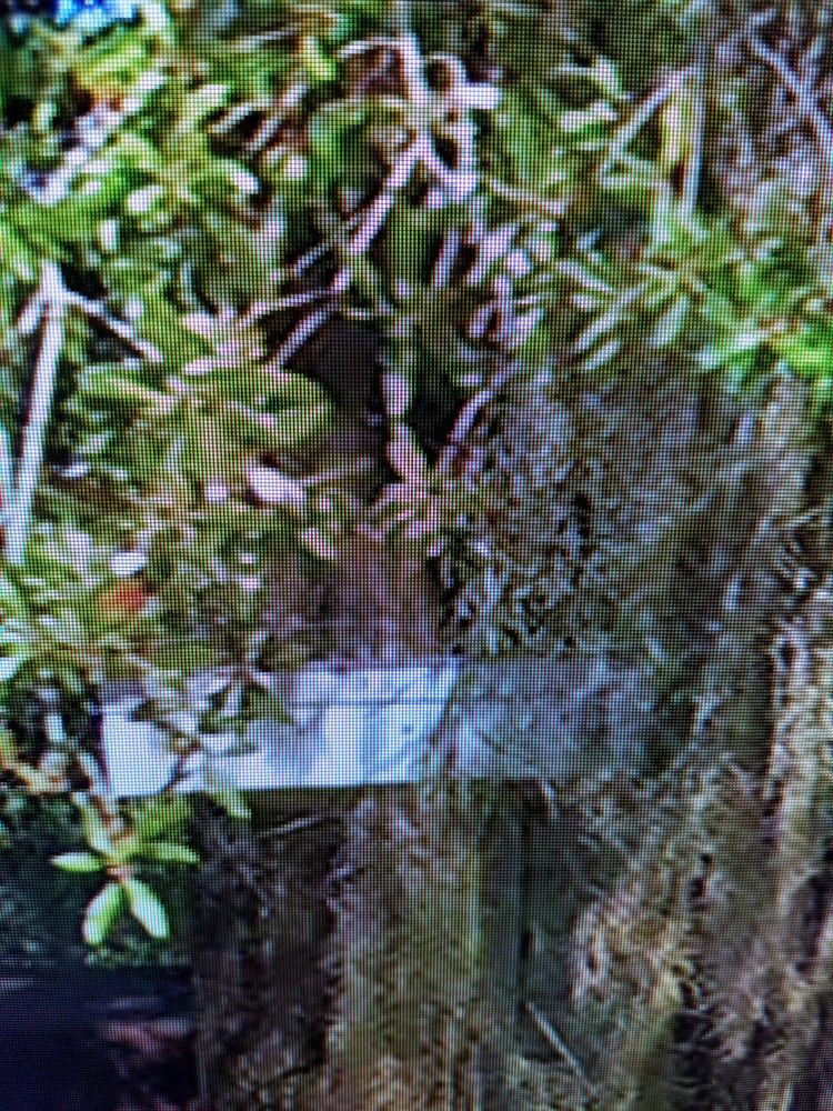 Slide of Roofing Solutions of Tampa