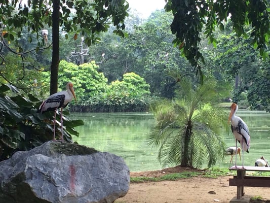 Zoo Negara Malaysia by null