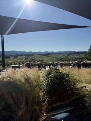Resonance Vineyard by null