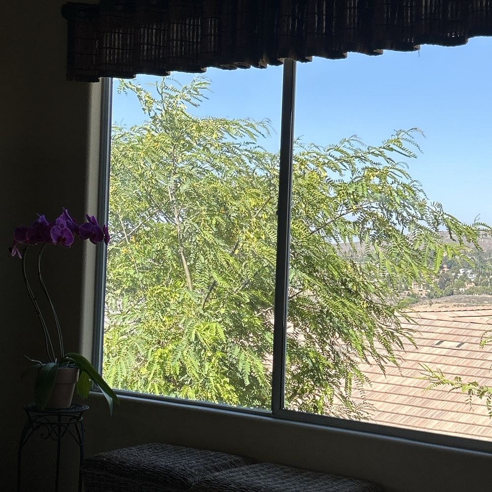 Reflection Pro Wash - BEAUTIFUL CLEAN WINDOWS AND SCREENS! - Window Washing Near Me Reflection Pro Wash - BEAUTIFUL CLEAN WINDOWS AND SCREENS! - Window Washing Near Me