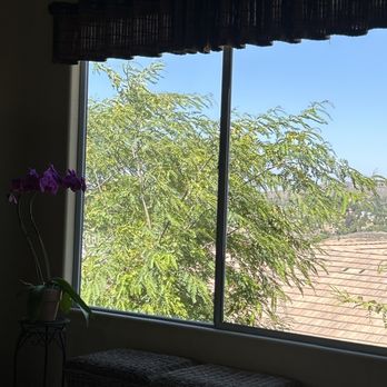 Reflection Pro Wash - BEAUTIFUL CLEAN WINDOWS AND SCREENS! - Window Washing Near Me