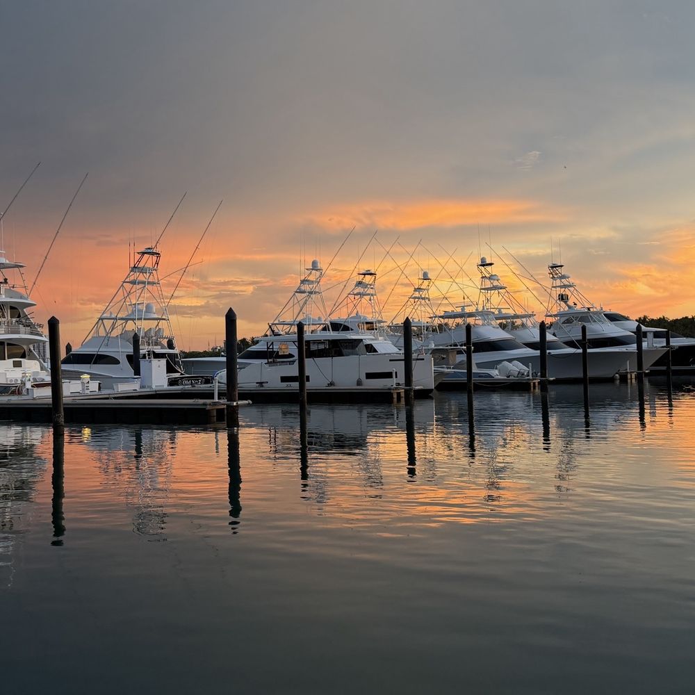 Sailfish Marina - Gorgeous views - Seafood Near Me - Palm Beach Shores, Florida Sailfish Marina - Gorgeous views - Seafood Near Me - Palm Beach Shores, Florida