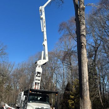 RB Tree Service - Tree Services Near Me RB Tree Service - Tree Services Near Me