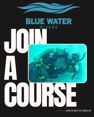 Blue Water Divers by null