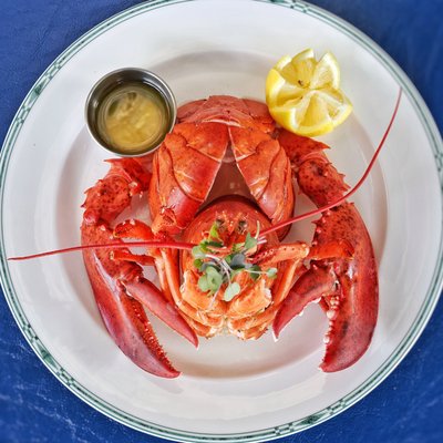 The Nauti Lobstah by null