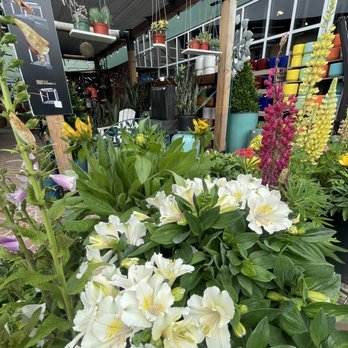 Anawalt Lumber - Flowers - Nurseries & Gardening Near Me - Los Angeles, California