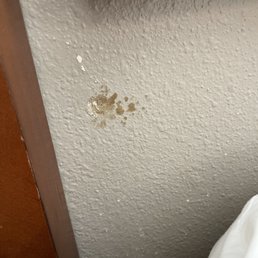 No idea what this is under the headboard No idea what this is under the headboard