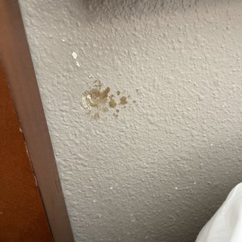 Hyatt Place Birmingham/Hoover - No idea what this is under the headboard - Hotels Near Me - Hoover, Alabama Hyatt Place Birmingham/Hoover - No idea what this is under the headboard - Hotels Near Me - Hoover, Alabama