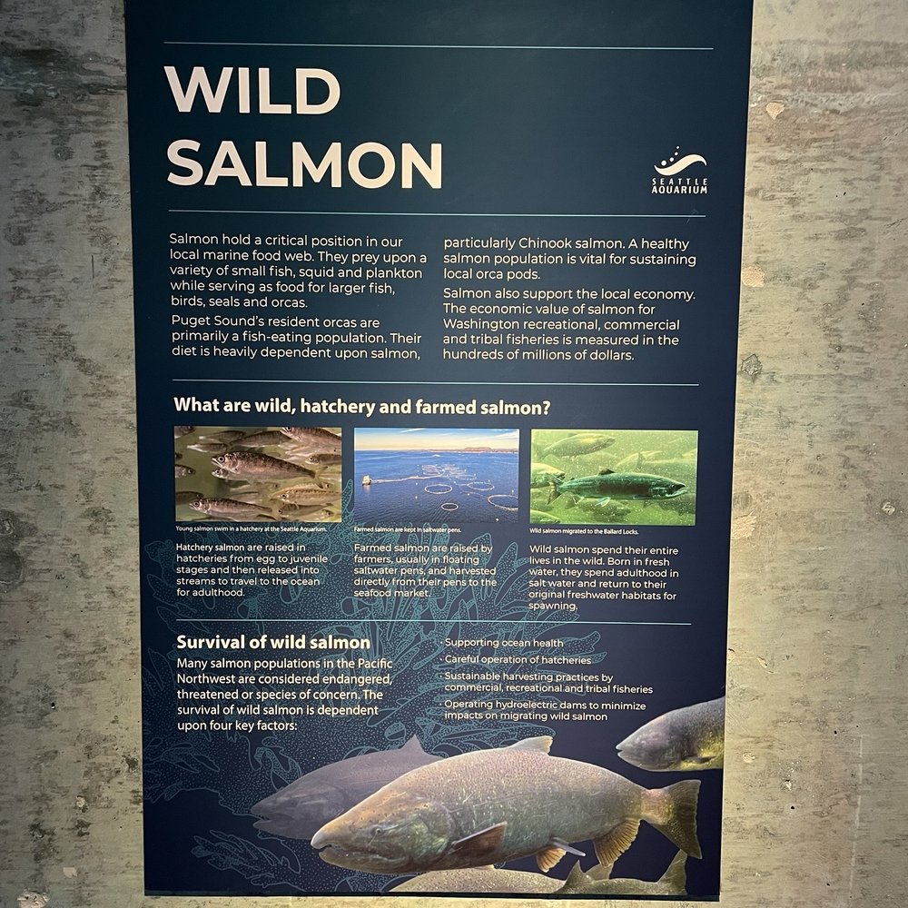 Seattle Aquarium - Aquariums Near Me - Seattle, Washington Seattle Aquarium - Aquariums Near Me - Seattle, Washington