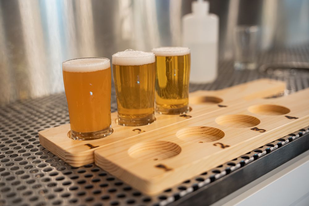 Alidade Brewing Logo