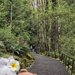 Oregon Zoo - Beautiful paths...
